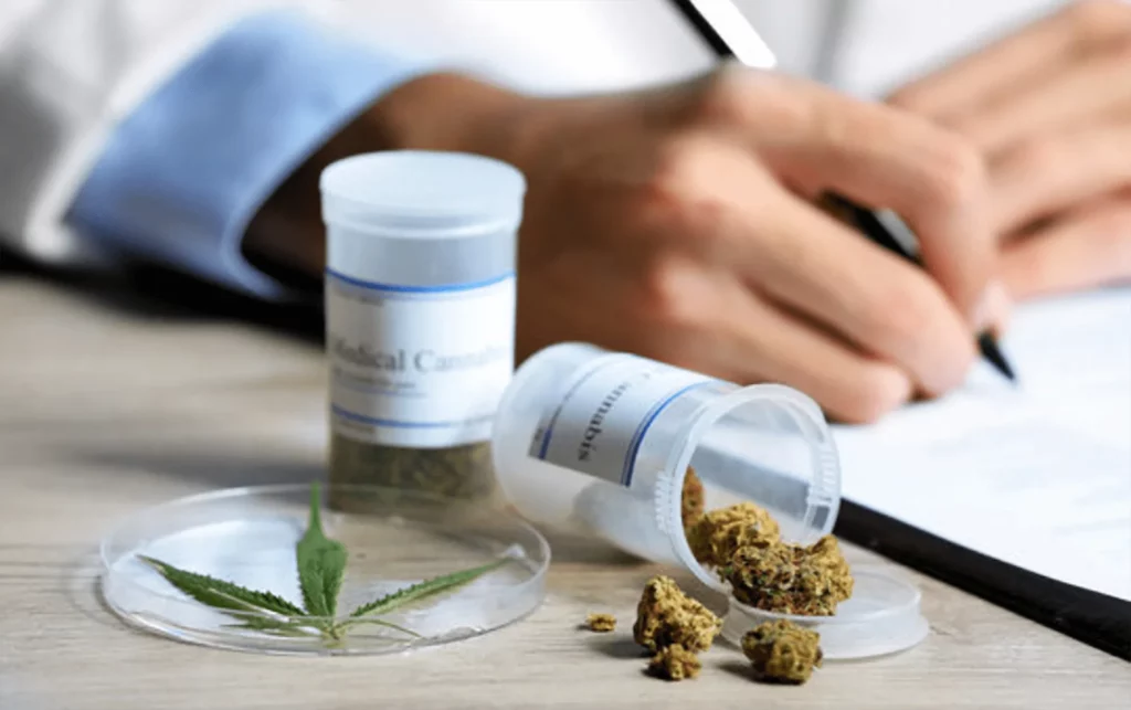 Virginia-licensed medical marijuana doctors