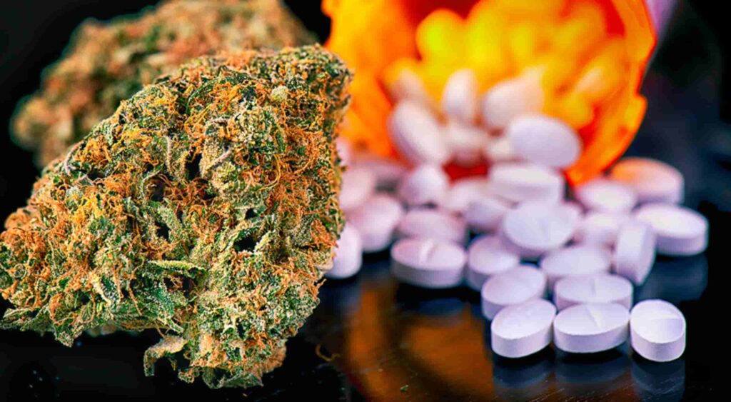 medical-marijuana-versus-pills
