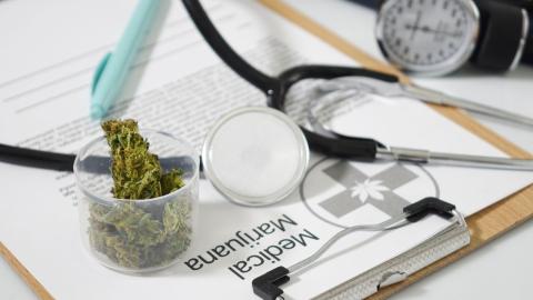 Medical marijuana versus traditional therapy