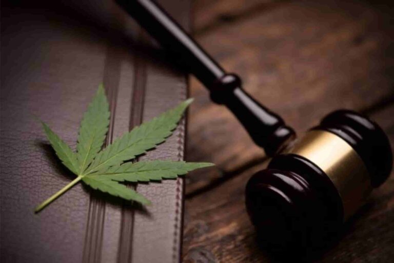 Marijuana laws in Virginia