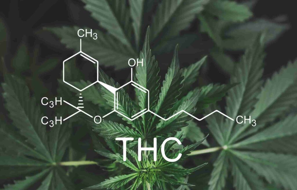 THC-and-the-science-behind-the-benefits