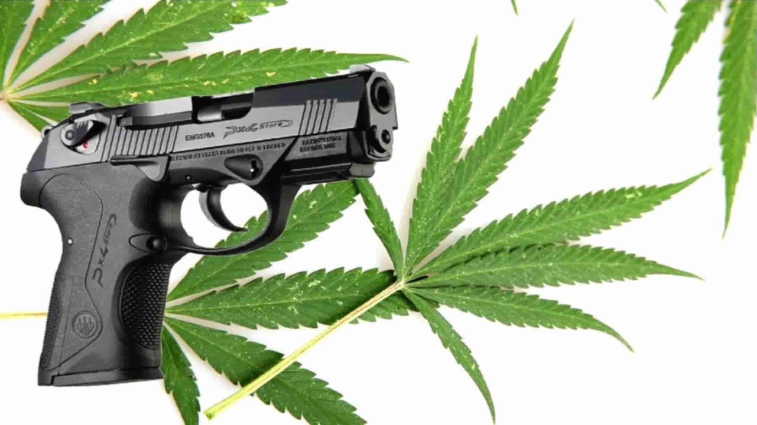 Can I Have A Concealed Carry Permit And A Medical Marijuana Card can-i-have-a-concealed-carry-permit-and-a-medical-marijuana-card