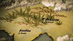 History-of-medical-marijuana