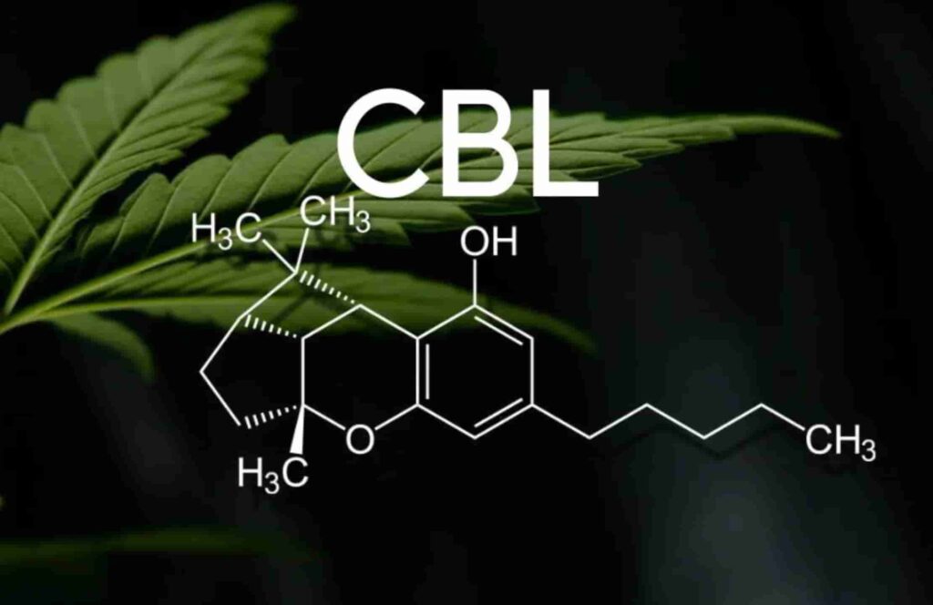 Cannabicyclol-and-medical-marijuana